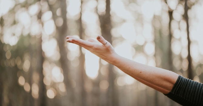 Reduced Rate Psychotherapy with evolve Intern