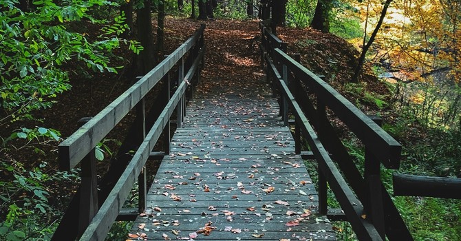 From Wander to Wonder image